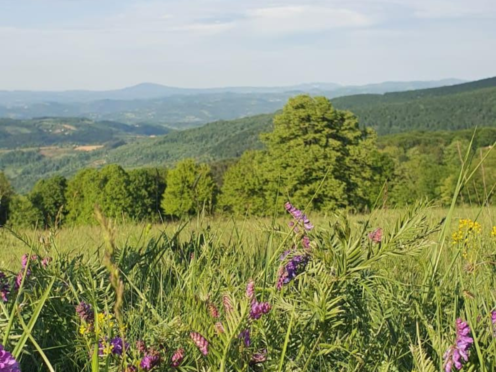 Održana manifestacija 